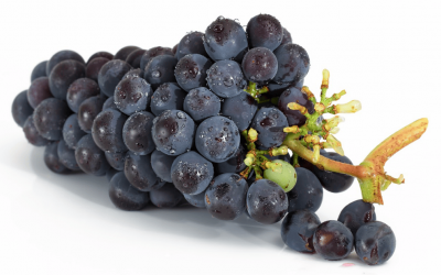 Resveratrol, čudotvorni antioksidans