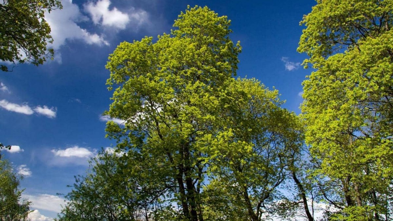 April - mesec prolećnih alergija