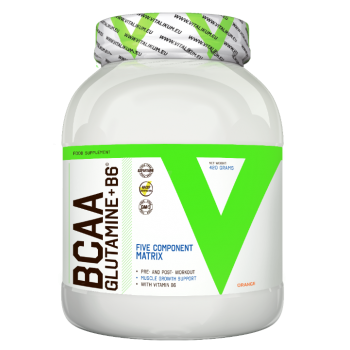 BCAA + Glutamine + B6 420 g