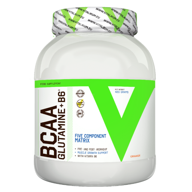 BCAA + Glutamine + B6 420 g