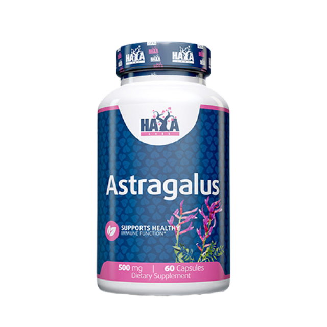 Astragalus 60 kapsula