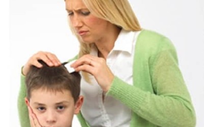 Kako istrebiti vaške na glavi?